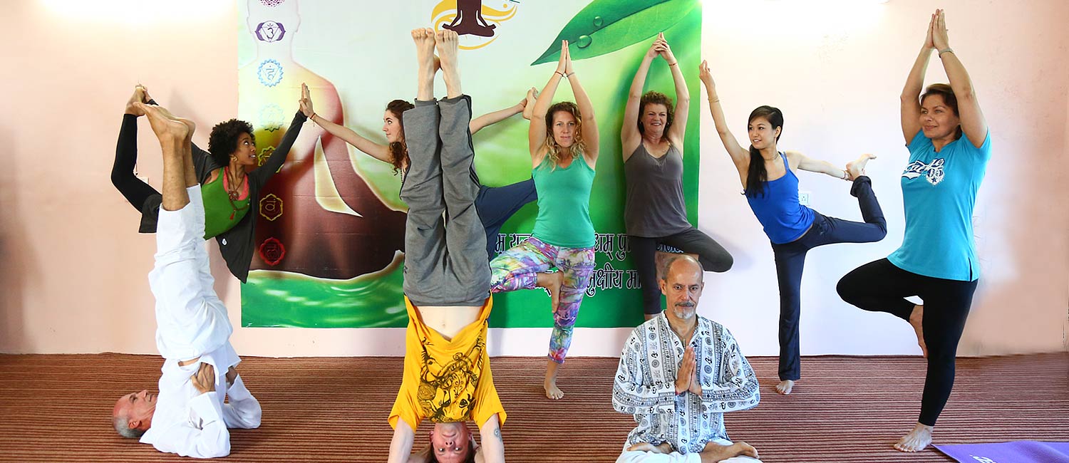 yoga courses in india