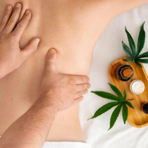 Traditional Ayurvedic Massage (Abhyangam) Certification Course – One Week