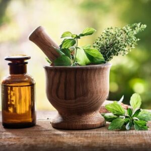 200-Hour Ayurveda Yoga Teacher Training Course - Image 6